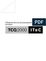 Practiques Curs Pressupostos TCQ 01 - 11