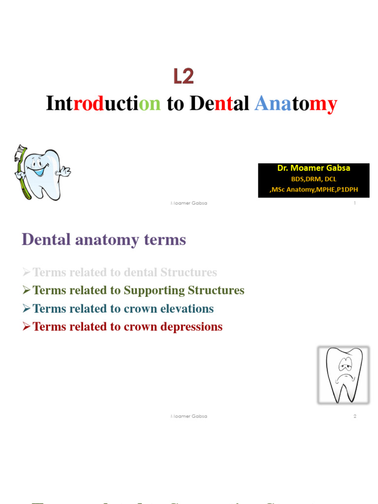 Introduction to Dental Anatomy Notes | PDF | Dental Anatomy | Human Tooth