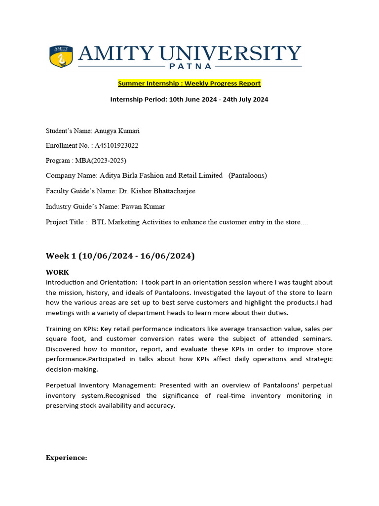 Example Of Internship Weekly Report