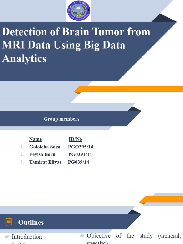 Brain Tumor Presentation Pdf Image Segmentation Magnetic