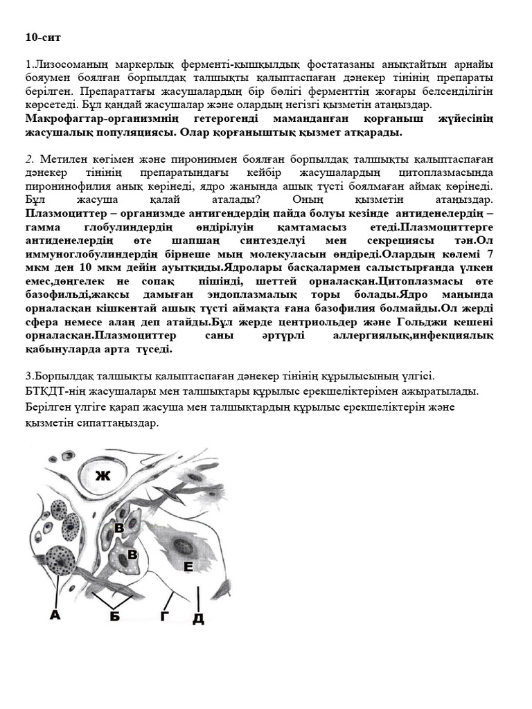 Балапандардың соратын суреттері