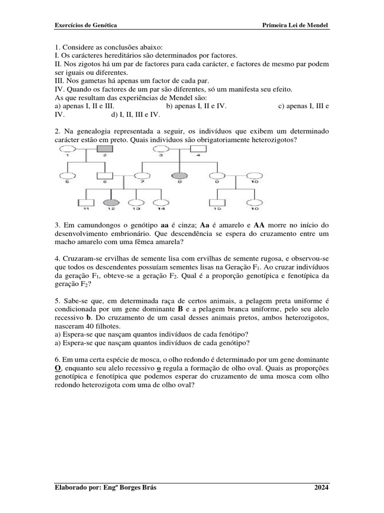 Exercícios sobre a Primeira Lei de Mendel | PDF | Genótipo | Dominância ...