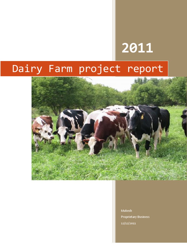 Dairy Farm Project Report Calf Dairy Farming