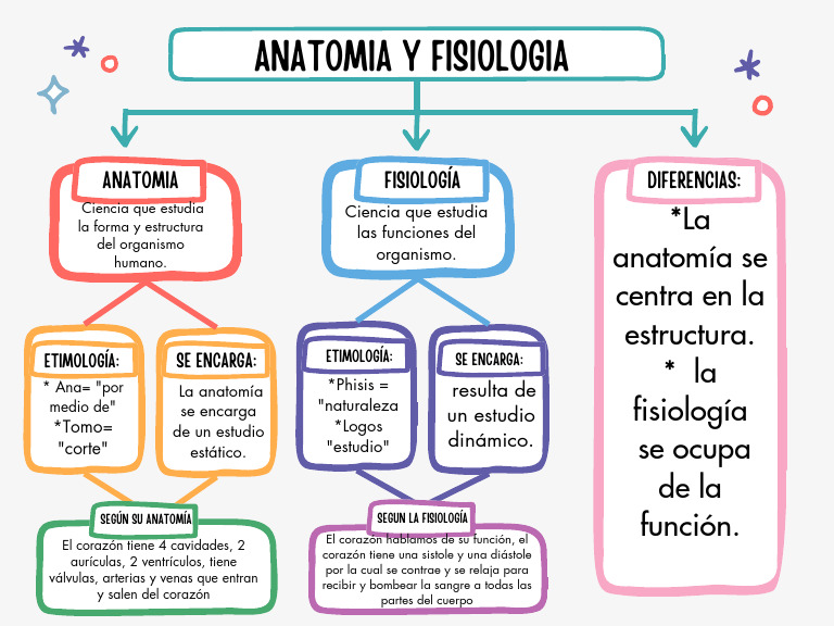 Diferencias entre Anatomía y Fisiología | PDF