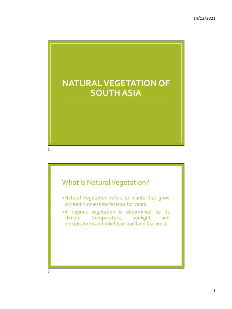 Natural Vegetation Pdf Forests Rain
