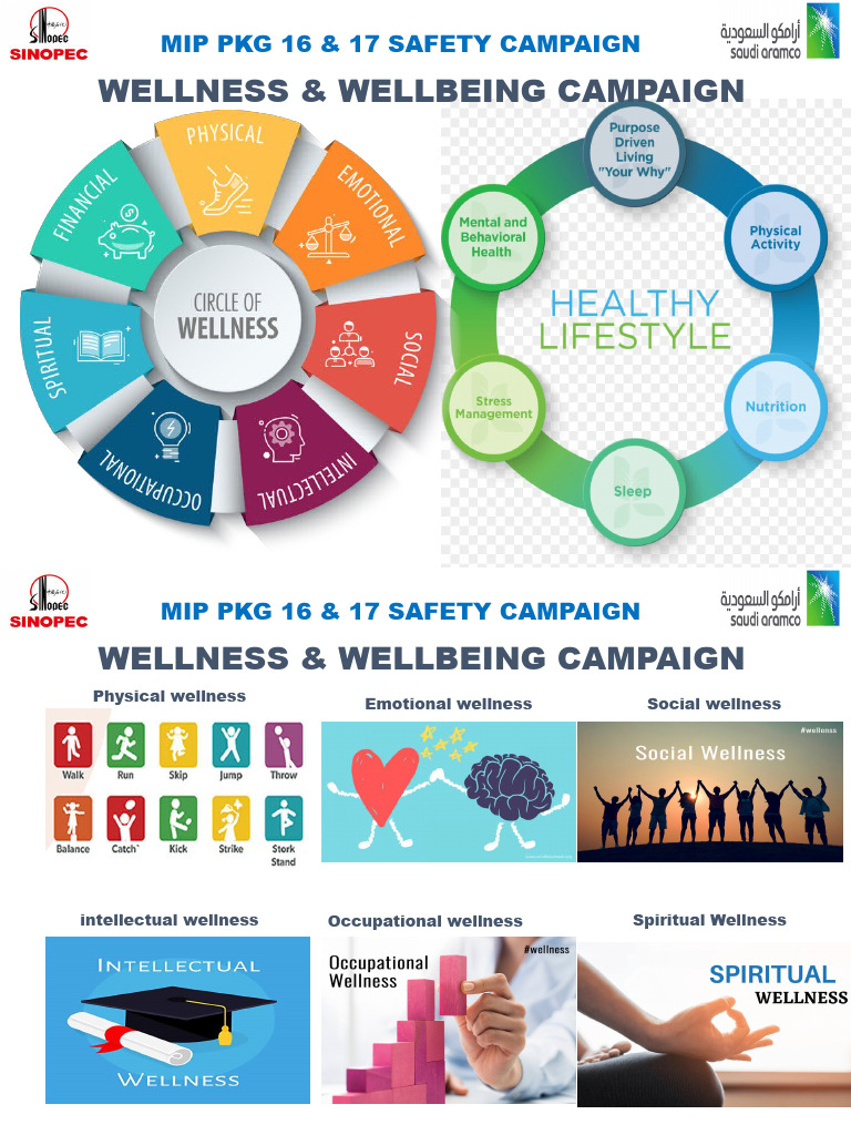 MIP PKG 16 & 17 Wellness Campaign | PDF