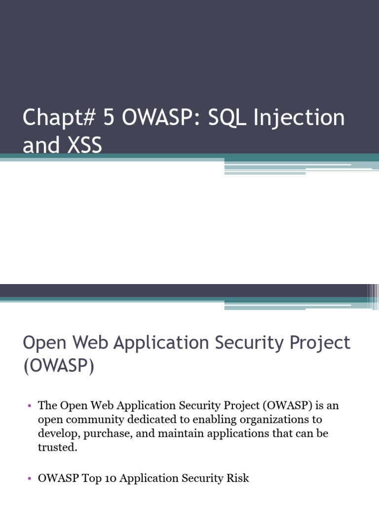 SQL Injection and XSS Vulnerabilities Guide | PDF | Software ...