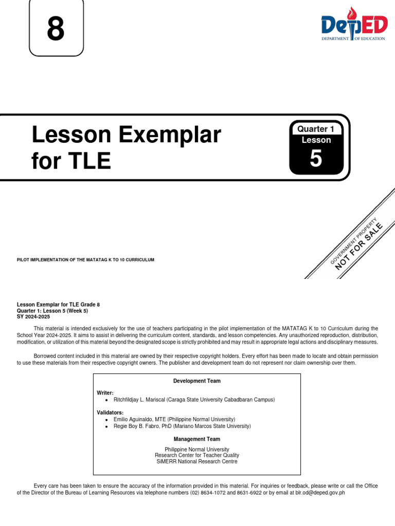 Q1 - LE - TLE 8 - Lesson 5 - Week 5 | PDF | Editing | Application Software
