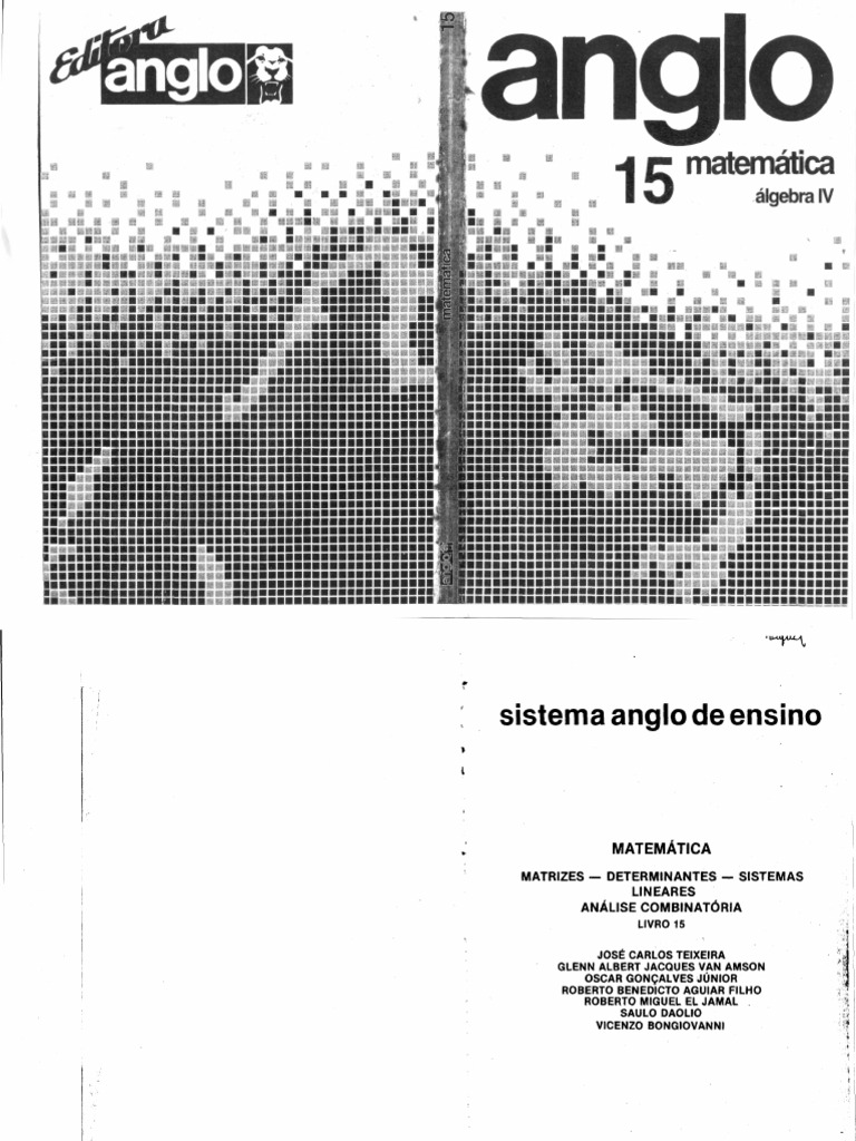 Matematica 15 Anglo - Algebra IV 2 | PDF