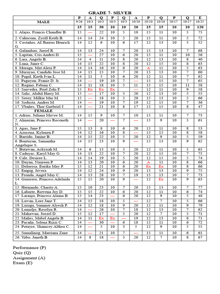 Grade 7 Silver Student Scores Summary | PDF