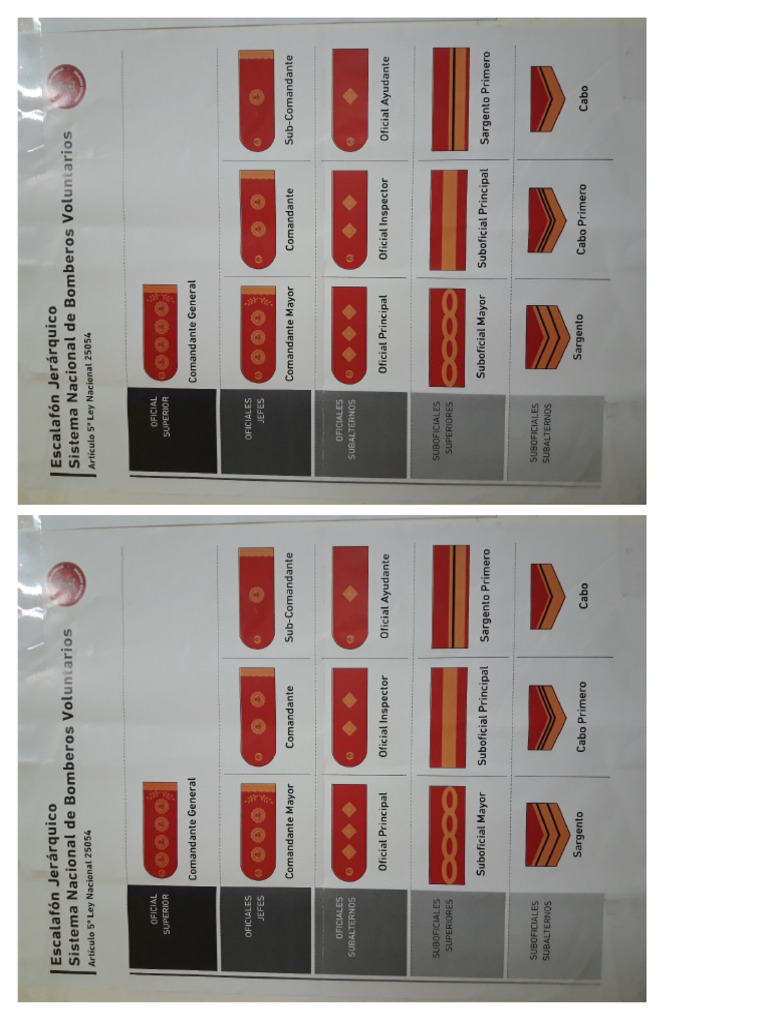 Escalafon Jerarquico | PDF