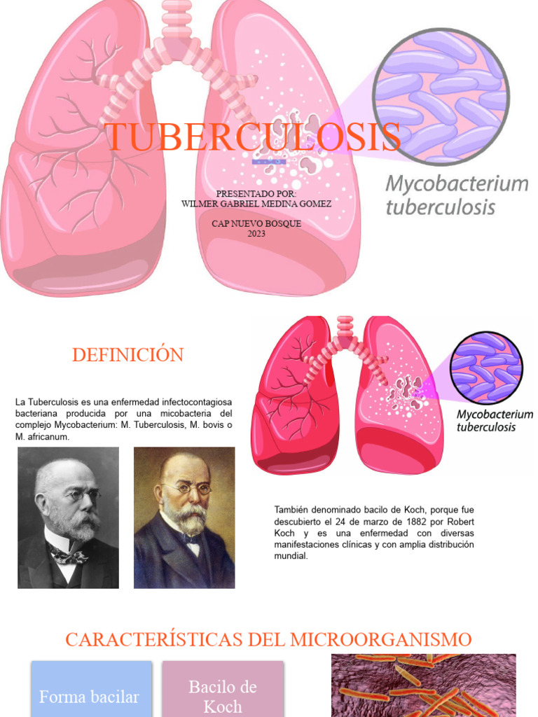 Información Esencial sobre Tuberculosis | PDF | Tuberculosis | Biología