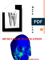 Muscles of Mastication Functions and Clinical Significance