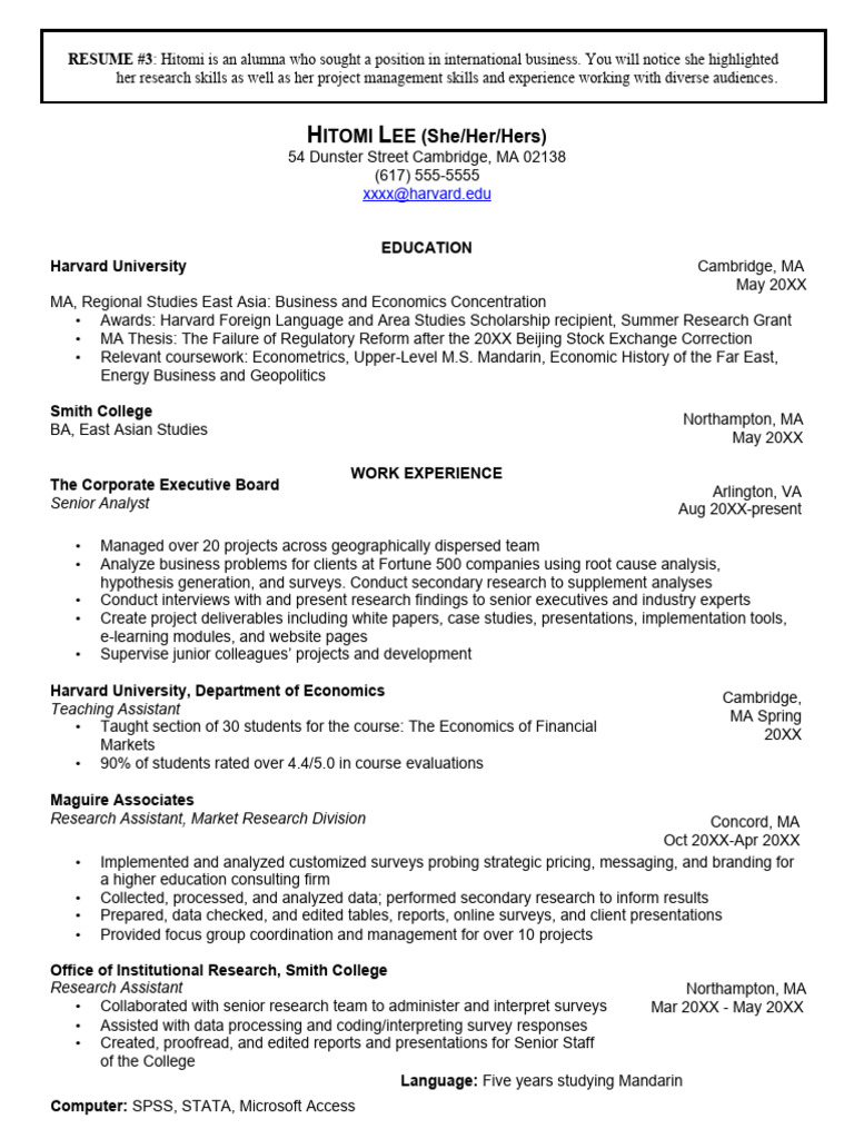 CV Template PDF Economics Business