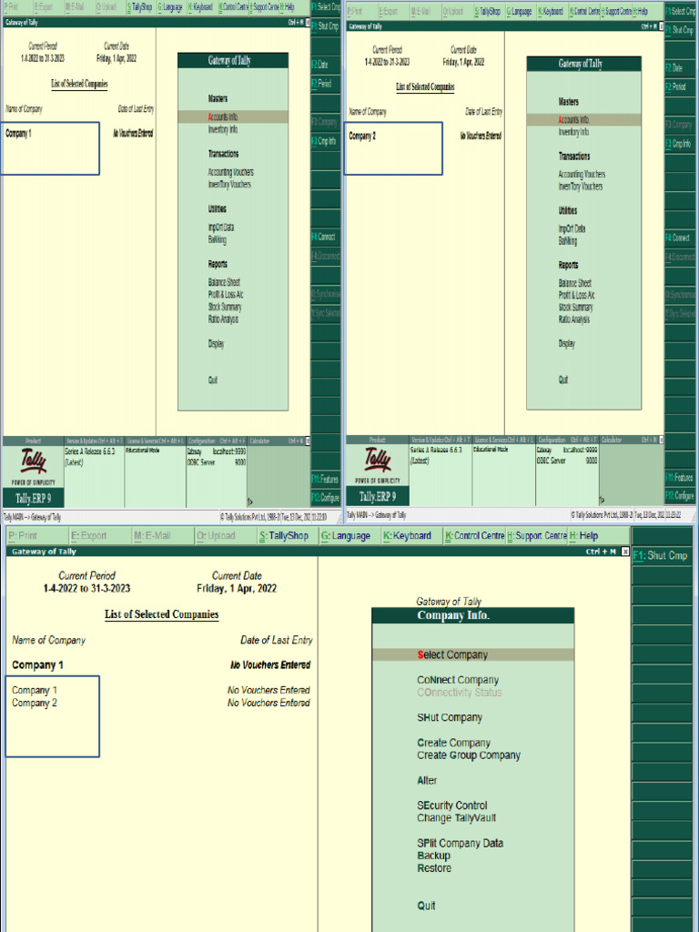 Grouping Of Company Data Pdf