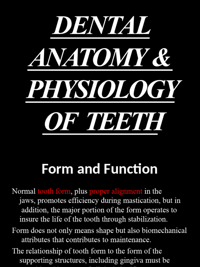 Dental Anatomy: Tooth Form & Function | PDF | Dental Anatomy | Mouth