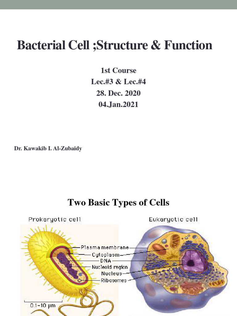 bacterial-cell-structure-function-1st-course-lec-3-lec-4-28-dec