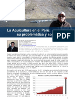 La Acuicultura en El Peru, Problematic A y Soluciones