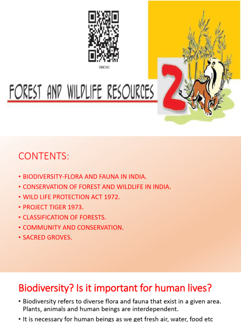 Forest and Wildlife ppt24 | PDF | Conservation Biology | Biodiversity