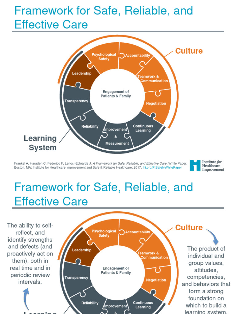 IHIFrameworkSafeReliableEffectiveCare Slides | PDF | Health Care | Patient