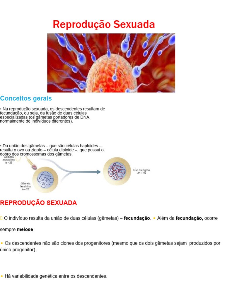 Entenda a Reprodução Sexuada e Meiose | PDF | Meiose | Reprodução