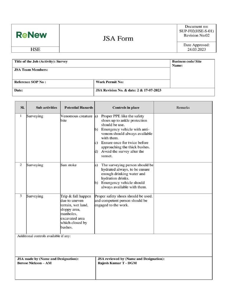 Survey JSA | PDF