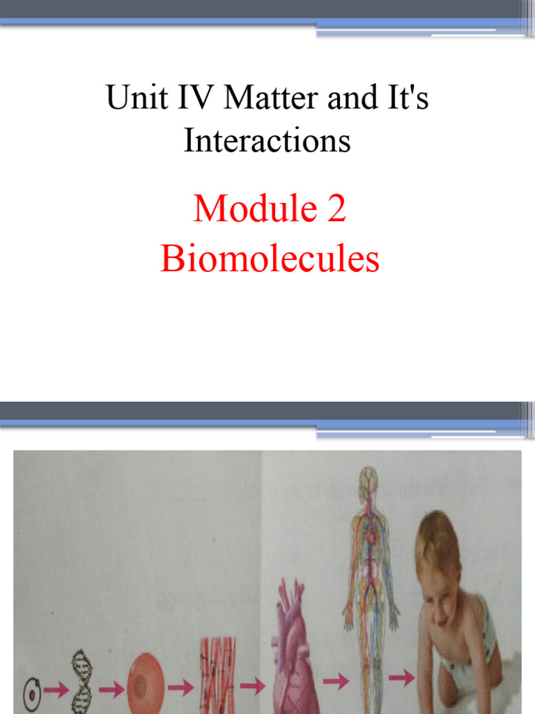 Understanding Biomolecules and Carbohydrates | PDF | Carbohydrates ...