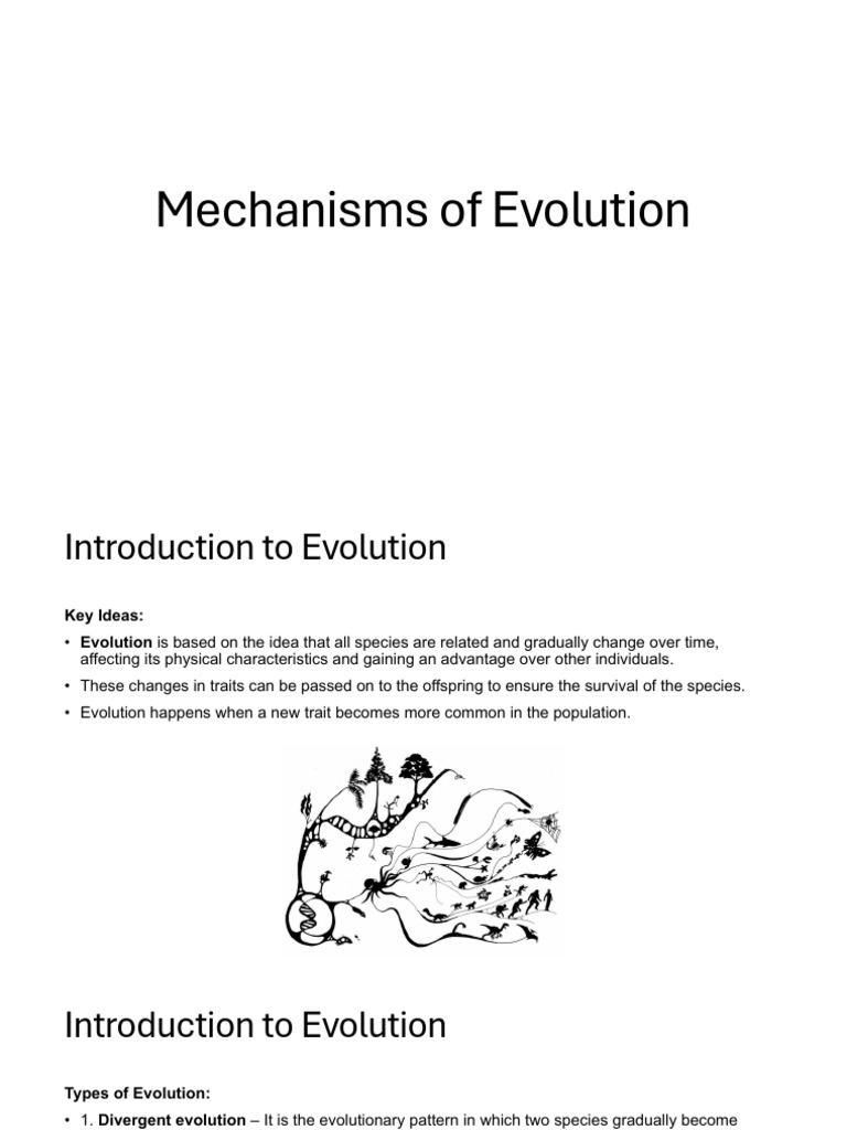 Understanding Evolutionary Mechanisms | PDF | Evolution | Natural Selection