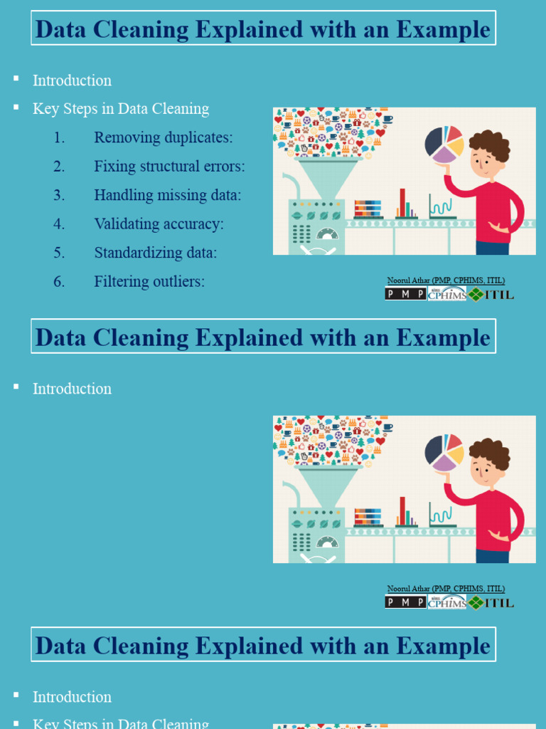 Data Cleaning Steps and Examples | PDF | Data | Data Management