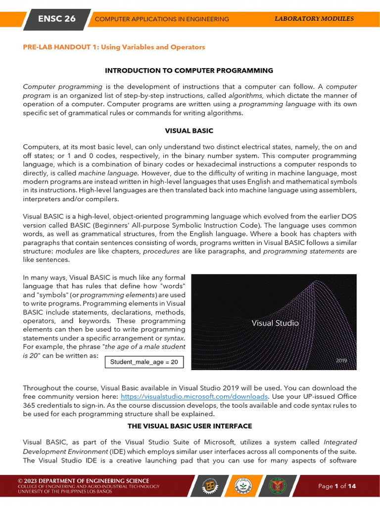 Visual Basic Programming Basics | PDF | Integrated Development ...