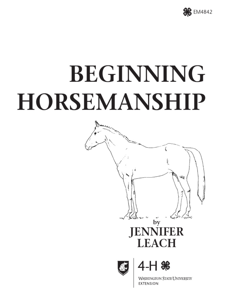 Beginner's Guide to Safe Horsemanship | PDF | Saddle | Horses