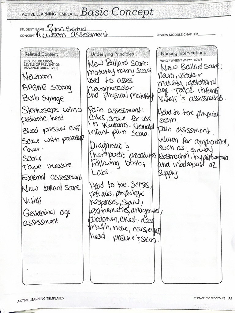 Newborn Assessment Template | PDF