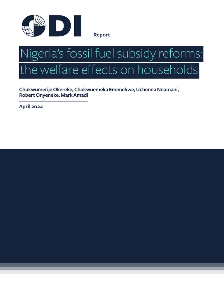 Nigeria's Fuel Subsidy Reform Impact on Households | PDF | Elasticity ...