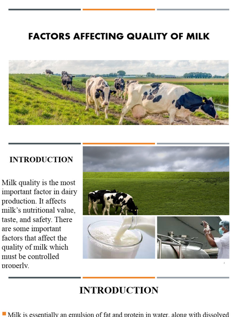 Key Factors Influencing Milk Quality | PDF | Milk | Cattle
