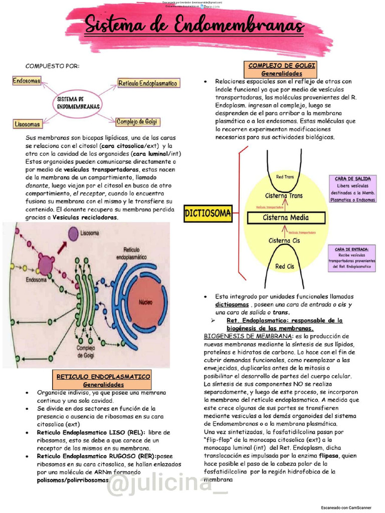 Sistema de Endomembranas PDF