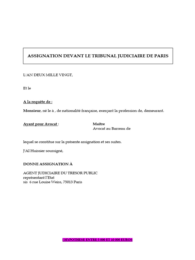 Assignation au Tribunal Judiciaire de Paris | PDF | Avocat | Loi publique