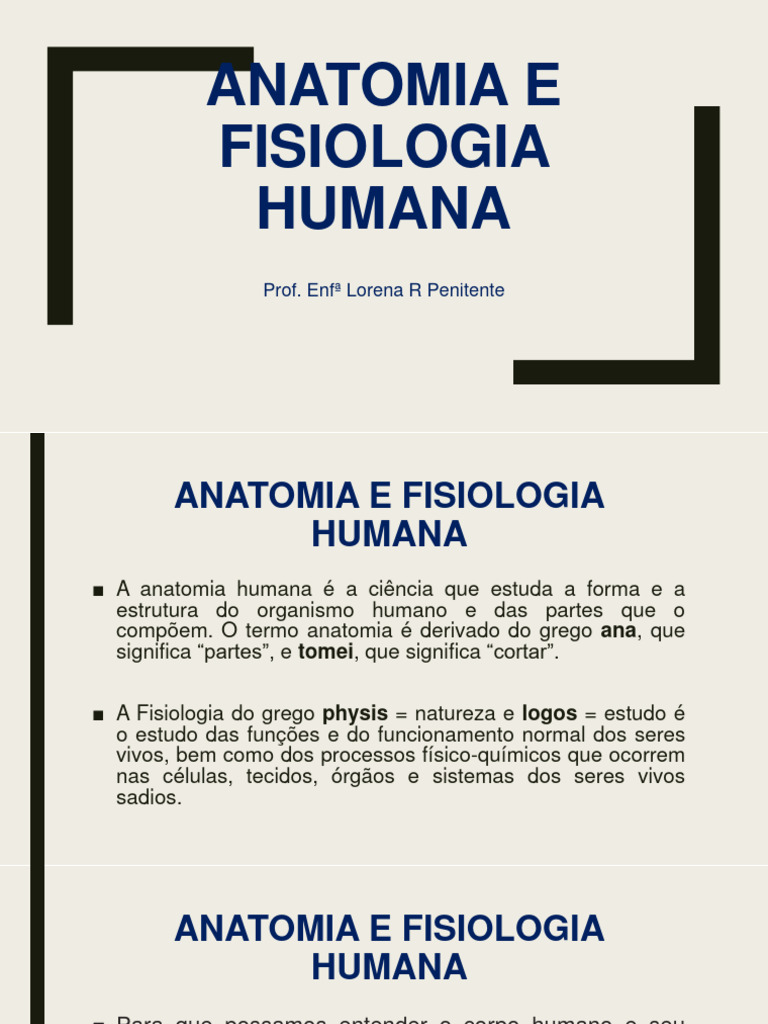 Anatomy visual data 8