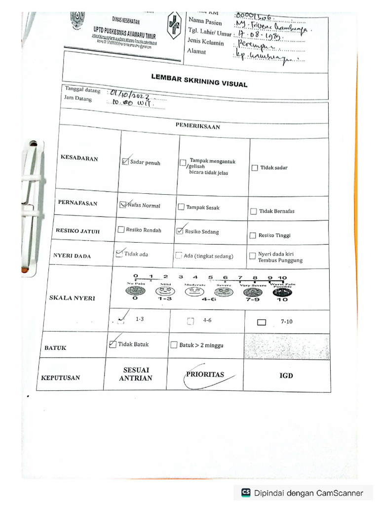 Skrining Visual Resiko Jatuh | PDF