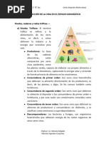 Interacción de La Vida en El Espacio Geográfico