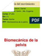 Euge PPT Pelvis