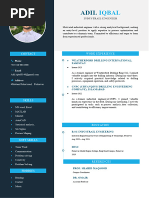 Modern Resume