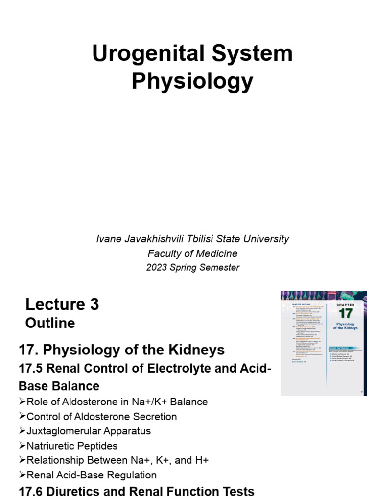 Physiology - Urogenital System-Lecture 3 | PDF | Kidney | Angiotensin