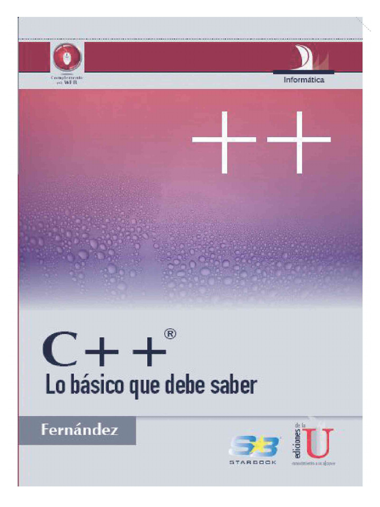 C++ Lo Básico Que Debe Saber | PDF