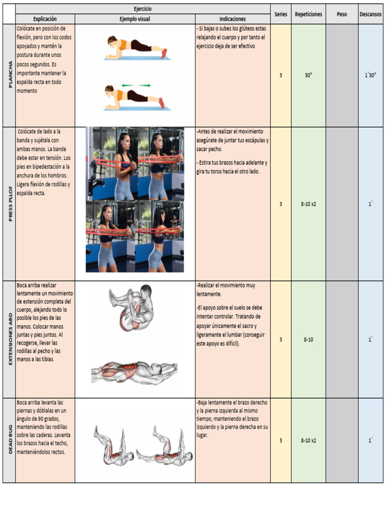 Ejercicios de Core: Plancha y Más | PDF | Rodilla