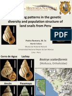 Contrasting Patterns in The Genetic Diversity and Population Structure of Land Snails From Peru