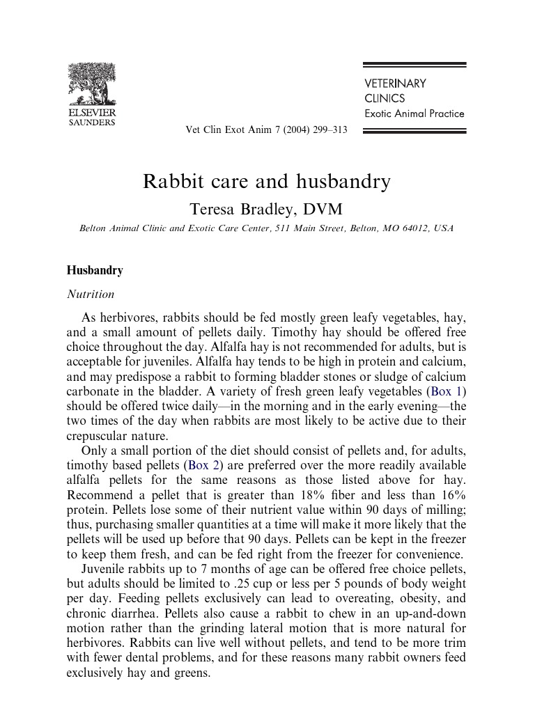 2004 72299 Rabbit Care and Husbandry Download Free PDF Rabbit