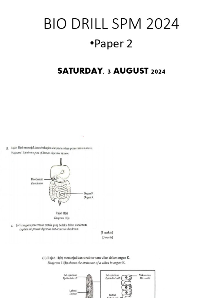 Bio Drill SPM 2023 (Student's Copy) | PDF