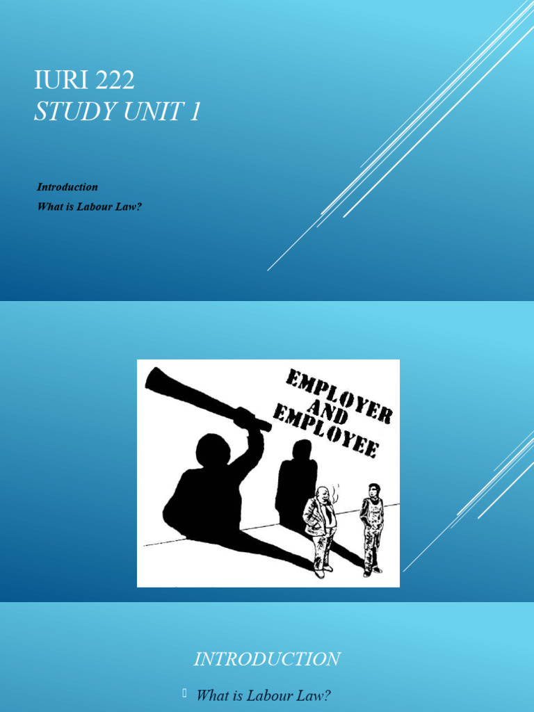 Study Unit 1 | PDF
