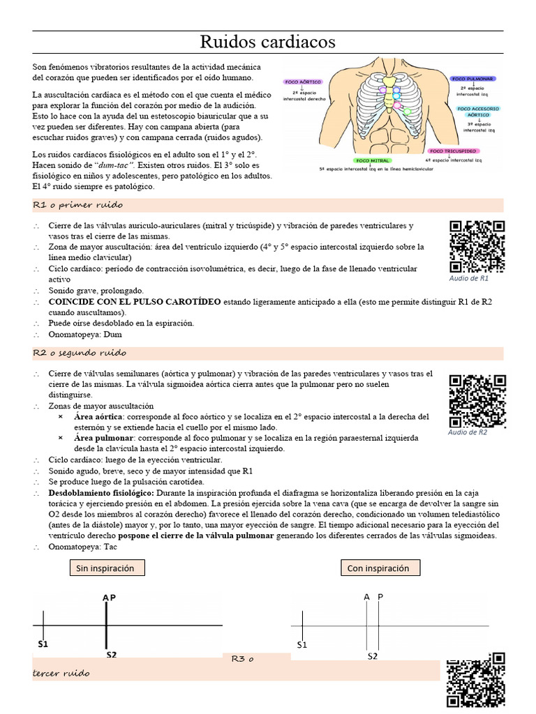 Ruidos Cardíacos: Auscultación y Significado | PDF | Corazón | Aorta