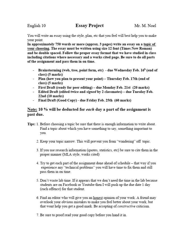 Essay Project Outline 10 Essay Project | PDF | Art